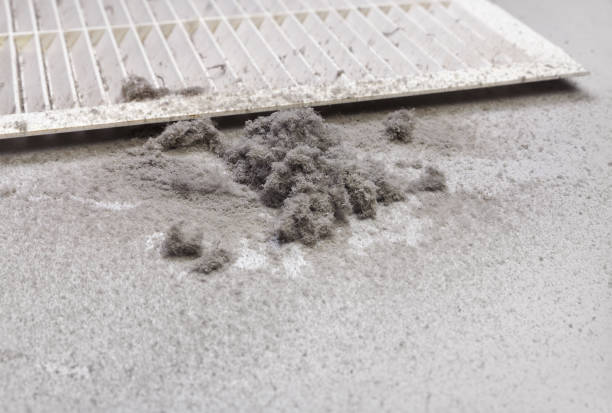 Affordable HVAC Duct Cleaning in Louise, TX