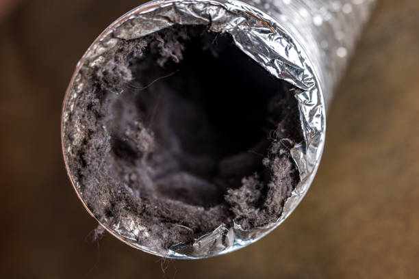 Ventilation Cleaning Services in Louise, TX