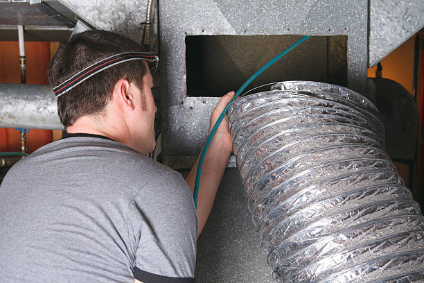 Best Affordable Duct Cleaning Services  in Louise, TX