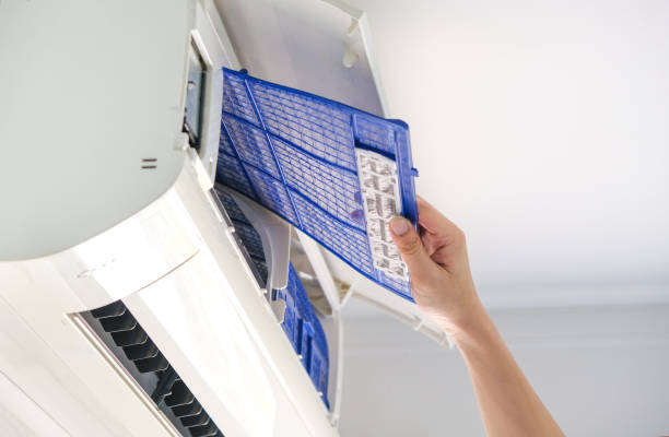 Best Best Air Duct Cleaning Company  in Louise, TX
