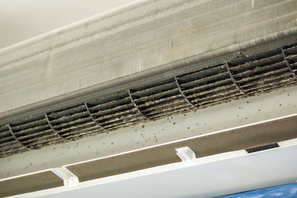 Best Affordable Air Duct Cleaning  in Louise, TX