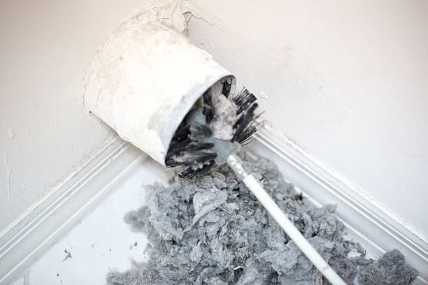  Louise, TX Airduct Cleaning Pros